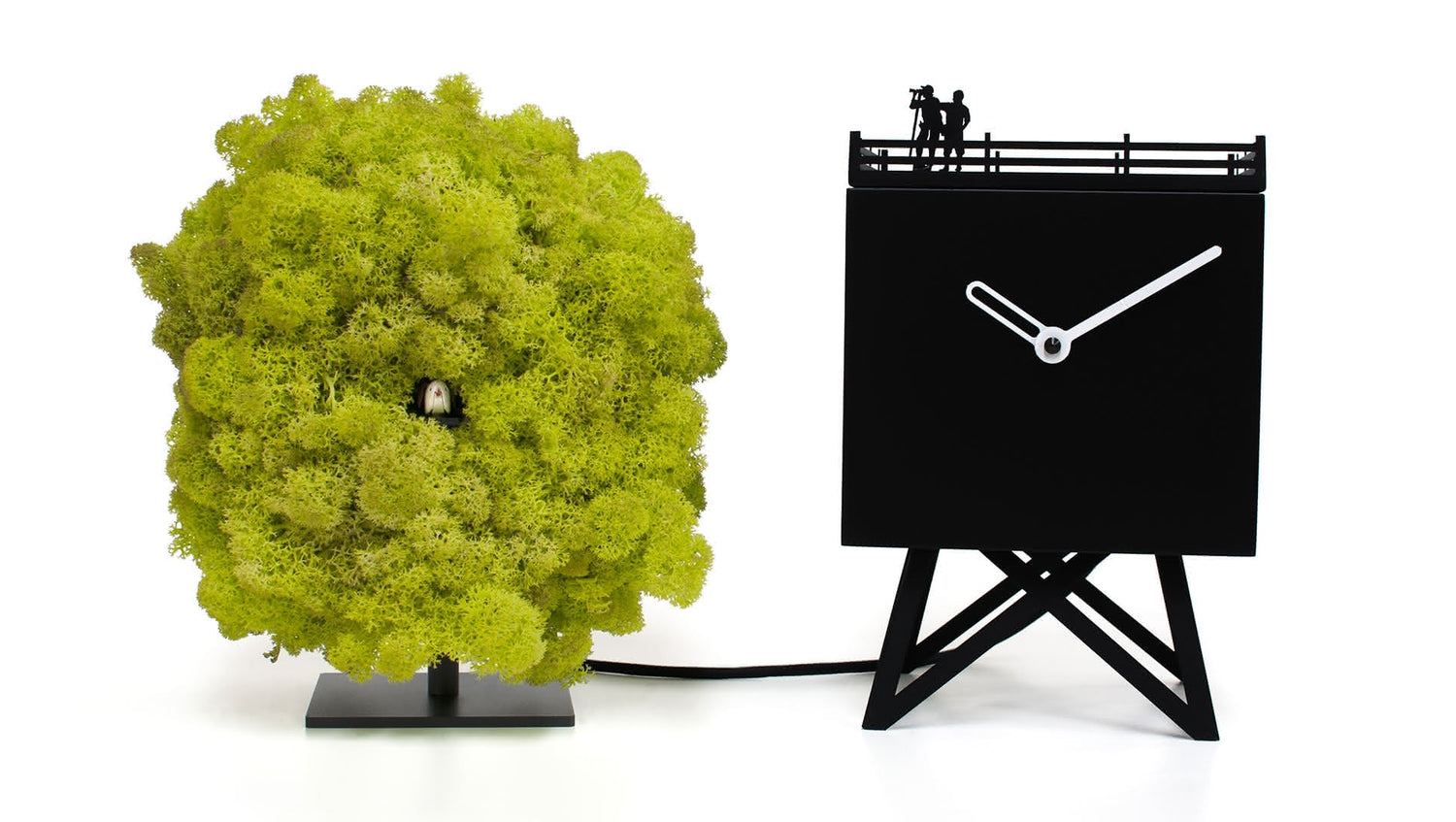 Horloge Progetti Birdwatching