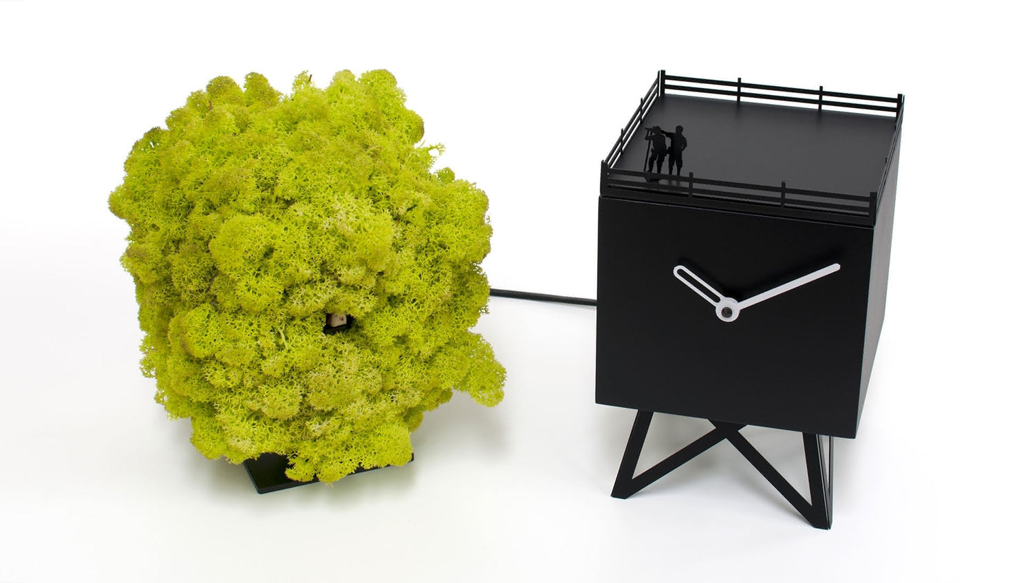 Horloge Progetti Birdwatching 1