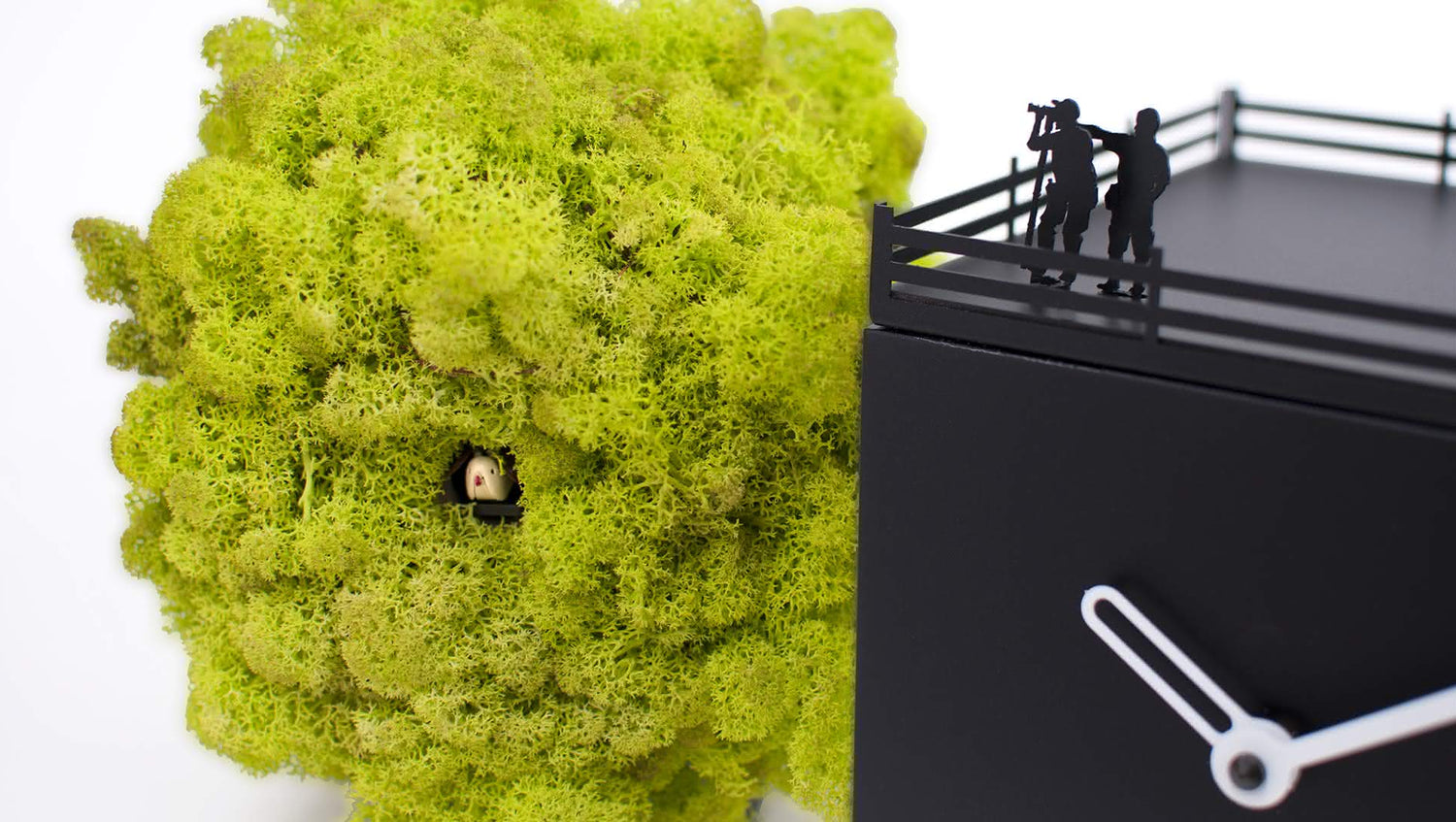 Horloge Progetti Birdwatching 2