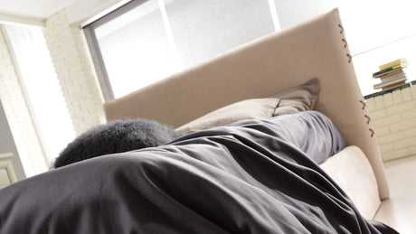 Lit CDI Collection Havana Bed 3