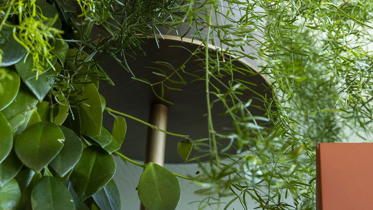 Ikebana Sideboard by Mogg