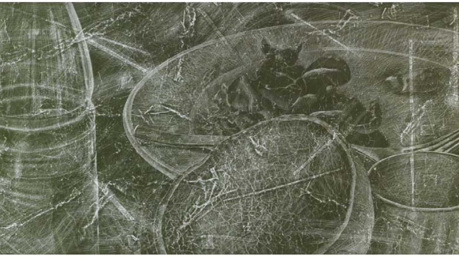 Composition with Plastic Bottle