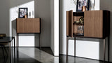 Slim Sideboard mit 2 Türen