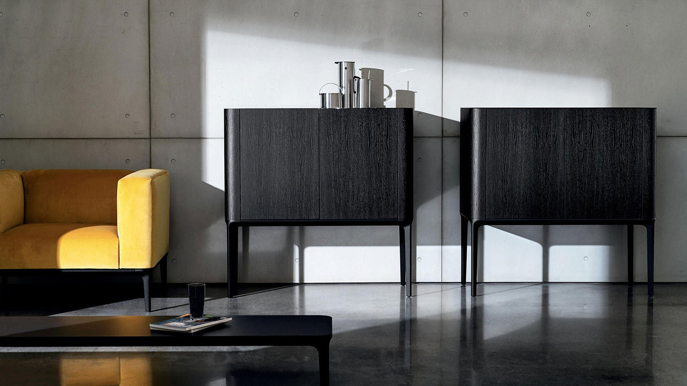 Slim Sideboard mit 2 Türen